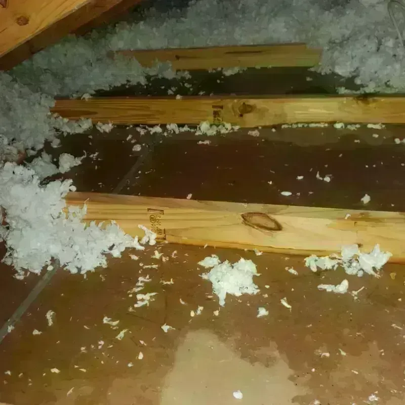 Attic Water Damage in Murphy, TX