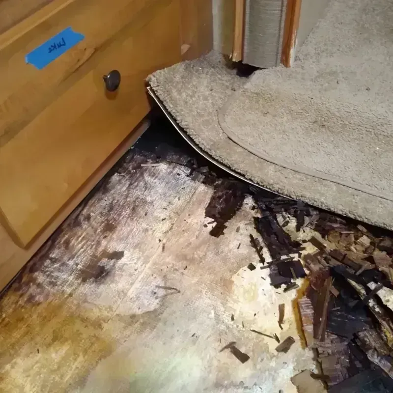 Wood Floor Water Damage in Murphy, TX